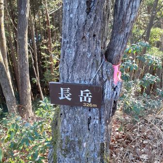 長岳からはすぐ。検索で出たけれど😅