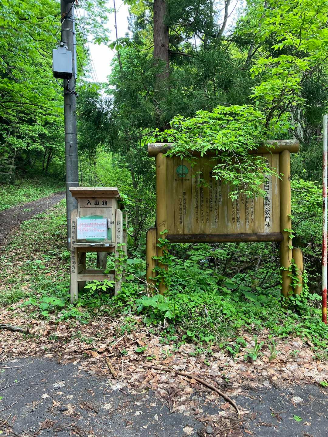 烏帽子岳 往復コースの写真