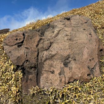 なんか古代のゾウみたいな岩やな