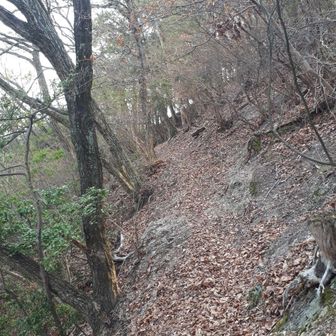 斜面に細道、落ち葉