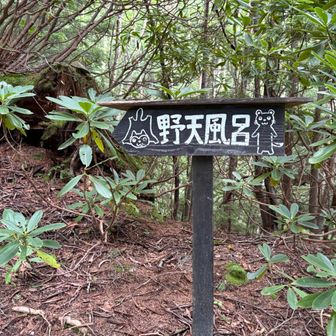 案内板がたくさんあったので迷いませんでした