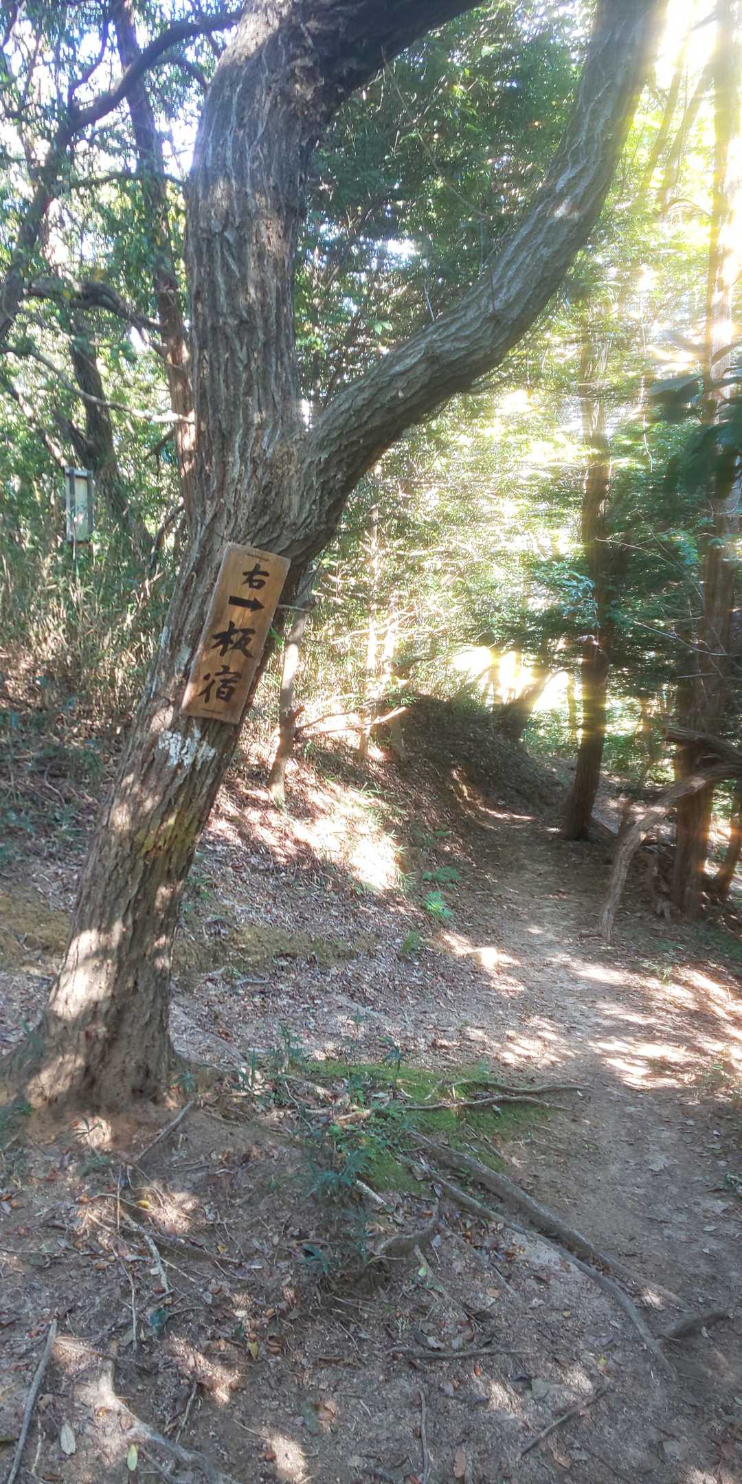 分岐点。「右 板宿→」の看板の所。