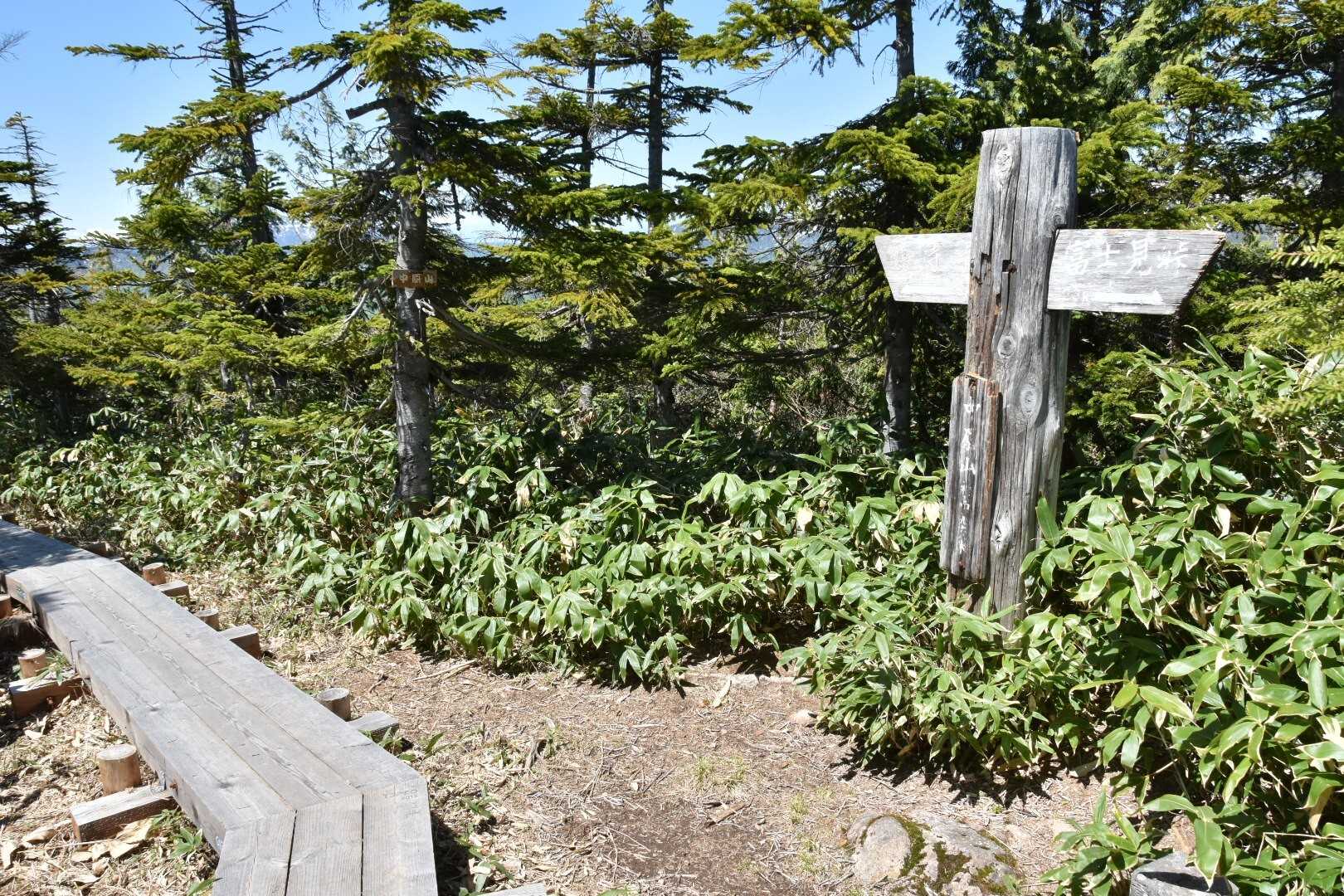 中原山の写真
