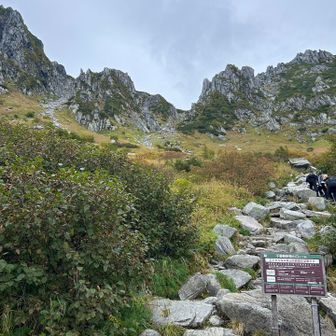ここから登山道