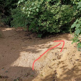 左も見に行ったけど
右の岩場を登る方スムーズらしい