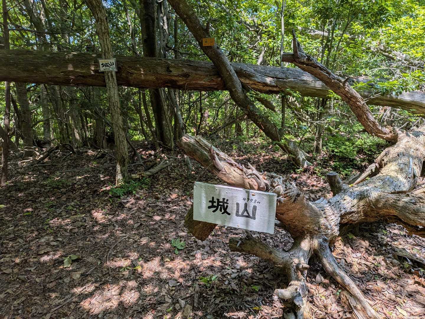 城山　何も無いので、即、下山