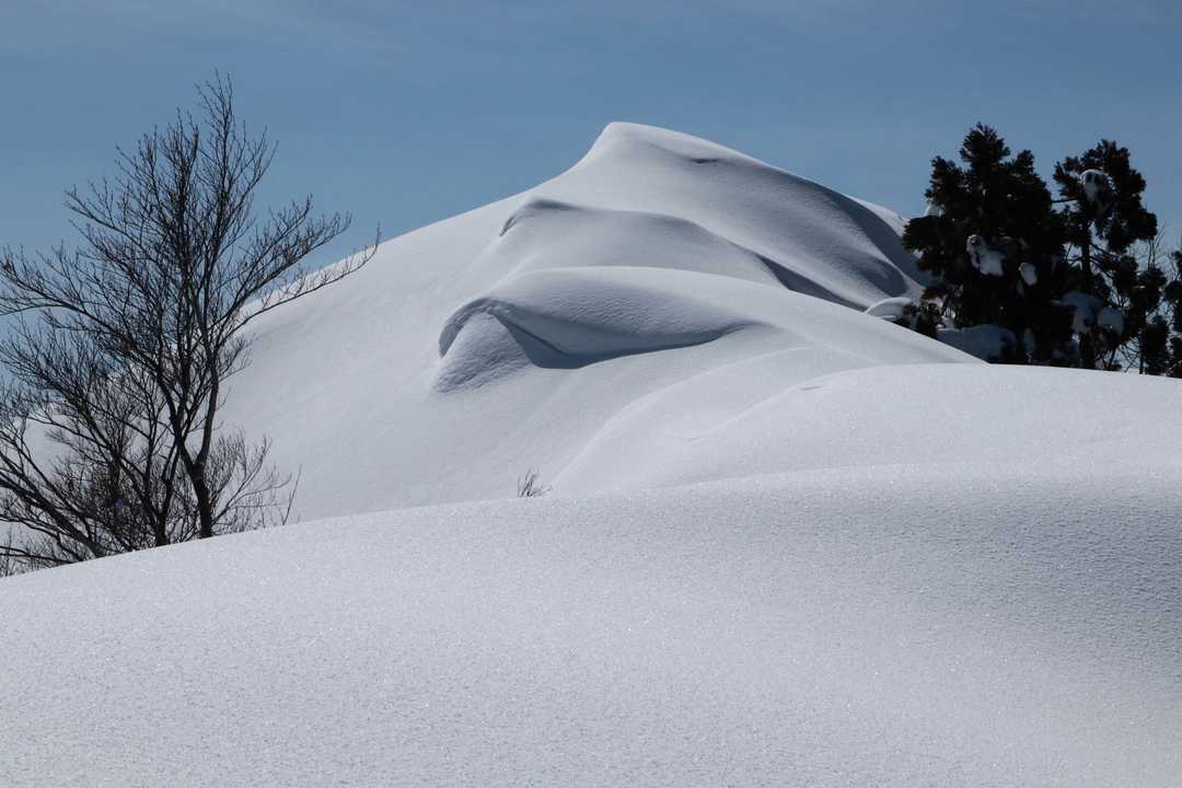 山頂です 積雪4～5ｍはありそうです