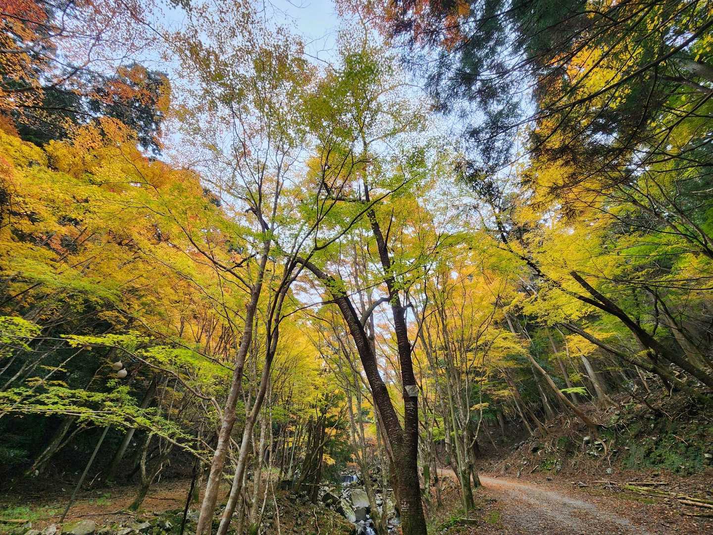 くらがり渓谷-本宮山 往復コースの写真