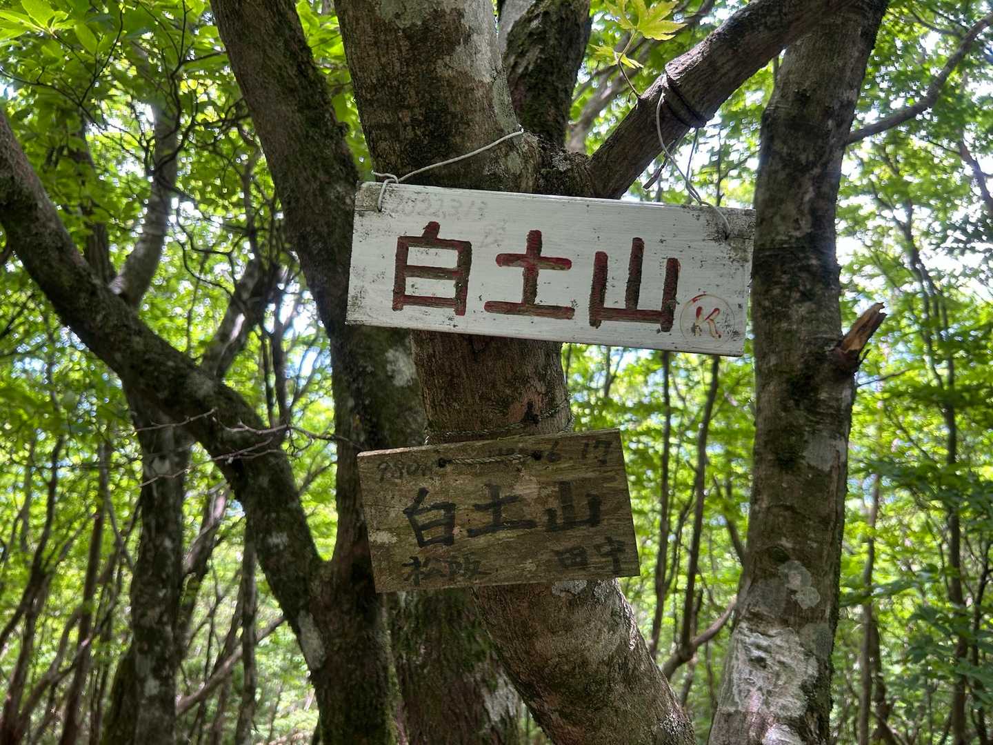 白土山に到着…というか通過