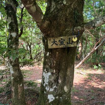無心に登って、大室山に着いた