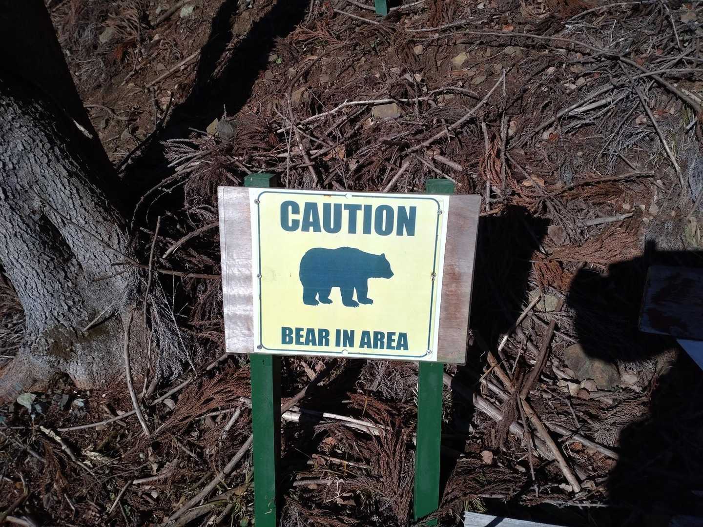 クマ注、おしゃ😙