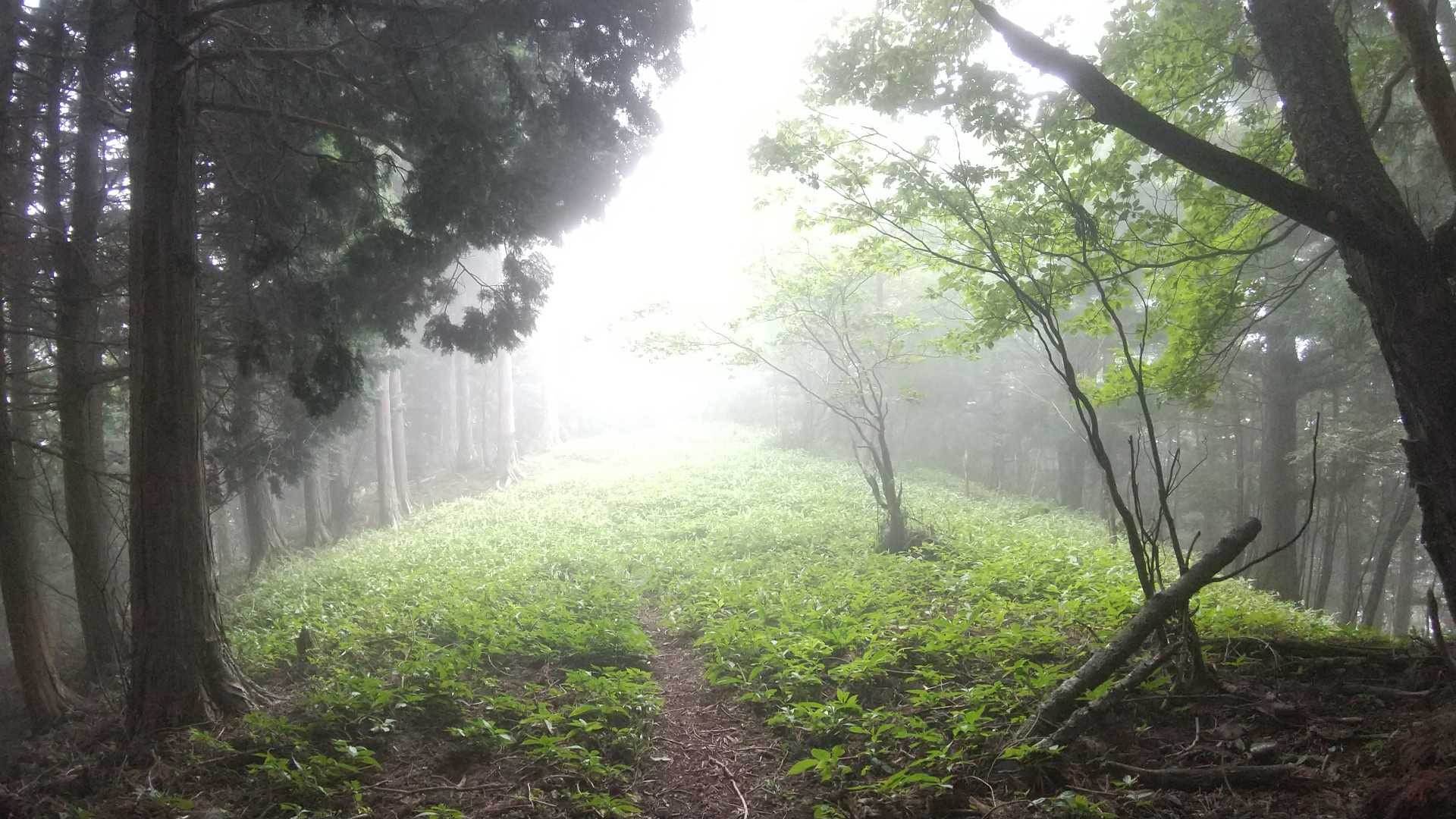 白滝山-石堂山 往復コースの写真