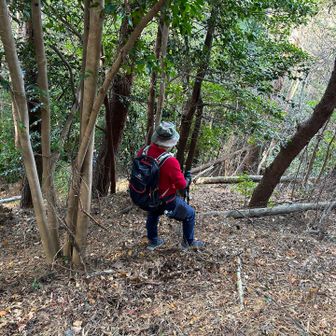 暖かかったので、ゆっくり休憩できました。
それでは再スタート⤴️なんですが、下りる方向を間違えかけました。山頂までの進行方向から右手に下って行きます。写真では伝わりませんがなかなかの斜度です📐