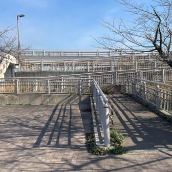 絶景の展望所へ車椅子♿️でも登れるスロープあり

【髙塔山】122m
この右側のインターロッキングにピーク🔺があるのだが…😅