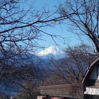 山頂からの富士山の眺望