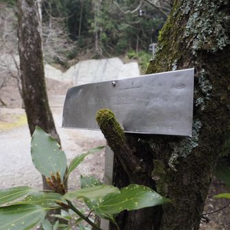 ここに標識あったっけ？