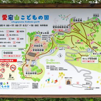 駐車場横の地図
ヤマップだと1番の県立科学館の所が愛宕山山頂だけど、山頂標識は2番の至甲府駅とライオン池の2箇所にあったので、左側のエリア全体が愛宕山なんだと思う
