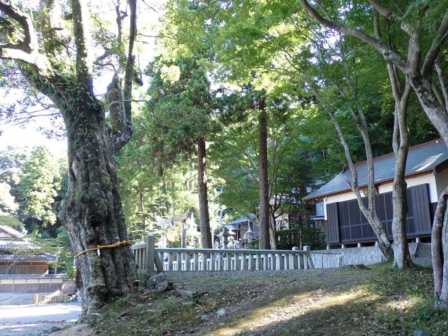 佐伎治神社に停めてスタート♪