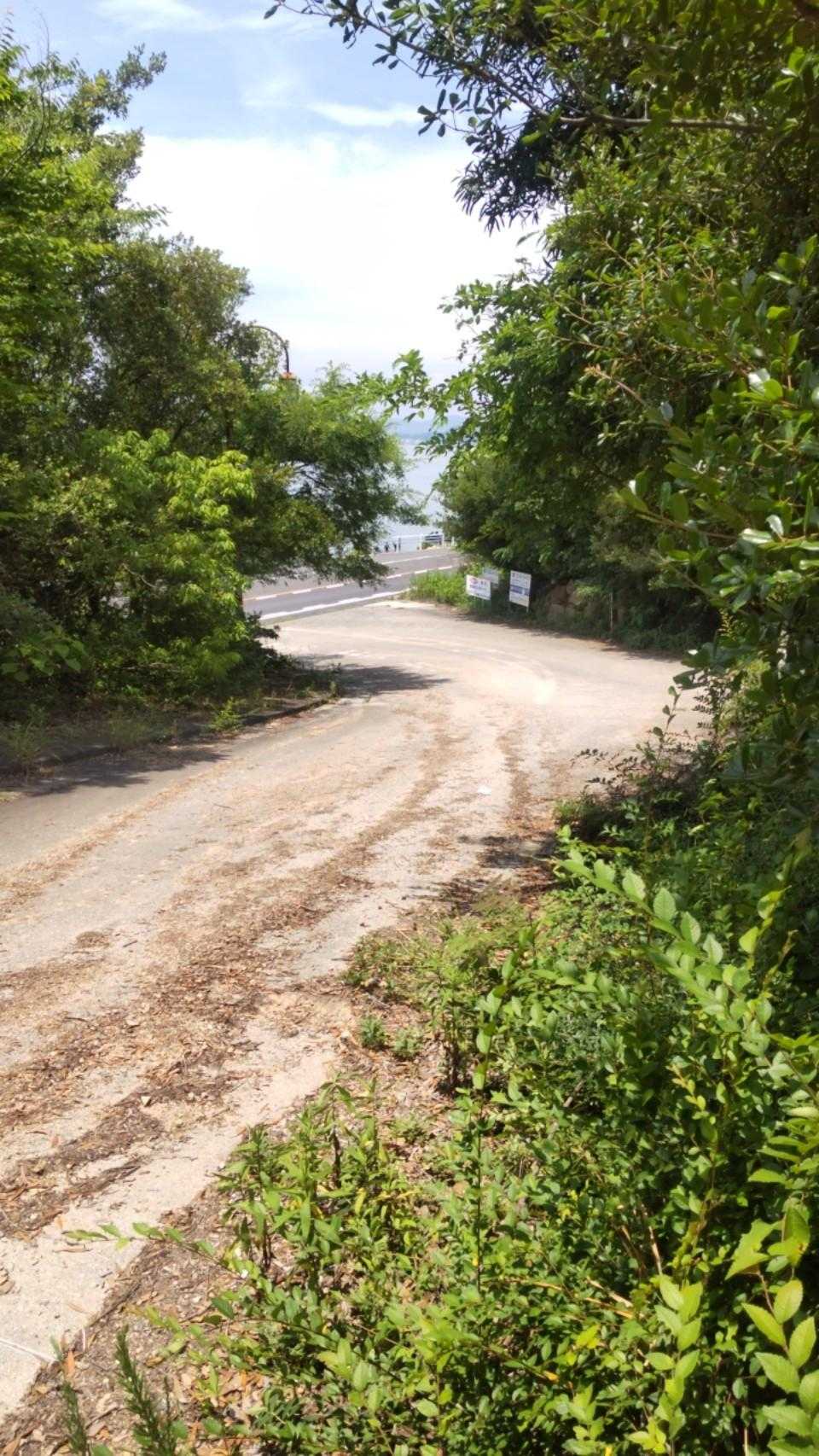 道路見えてきました😆