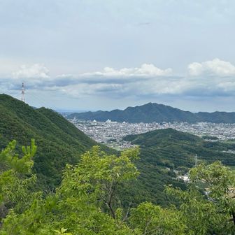 ここからも金華山見える