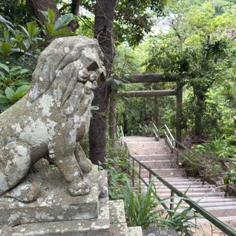 登ってきた階段。