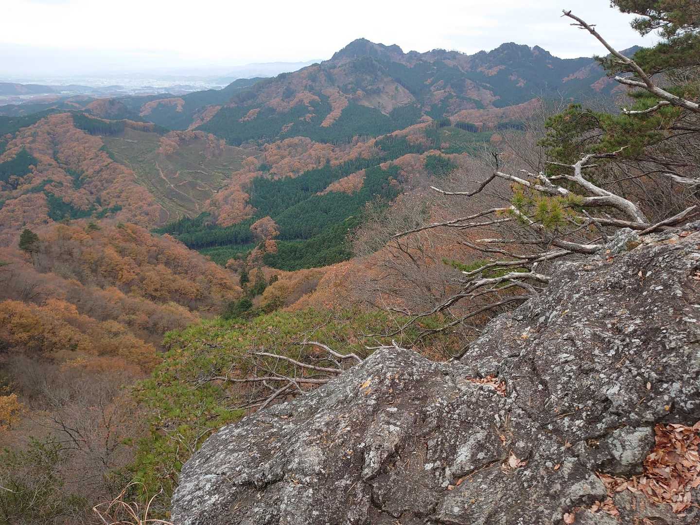 長倉山-鞍掛山-シゲト山-猪倉峠 周回コースの写真