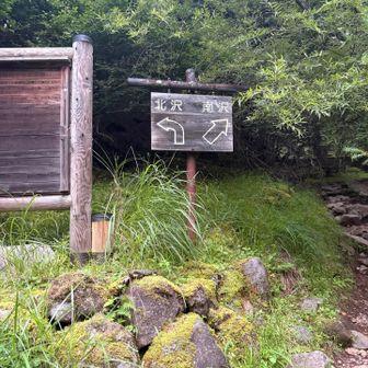 まずは南沢へGO👉