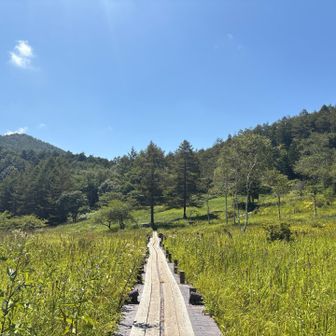 湿原の木道は、いい気持ち😊👍