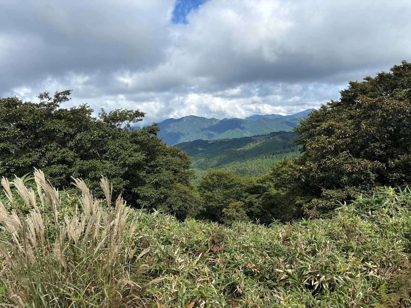 北側
ススキの穂が開いて来ました
季節は秋になりつつあります🌾✨