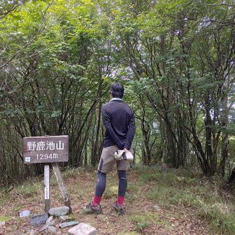 午後からの雨予報に逡巡しています😓💦明日もお天気悪いとのこと…💦京柱峠まで急ぐべきかどうか迷います…⏰💦
撮り貯めた写真は数知れずですが、タダ乗り会員の写真投稿枚数は１０枚限定なので残念…
👋😭
あとはモーメントにて、ほんの少しご紹介🍀