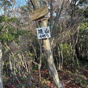 今日最後のピークに着きました。