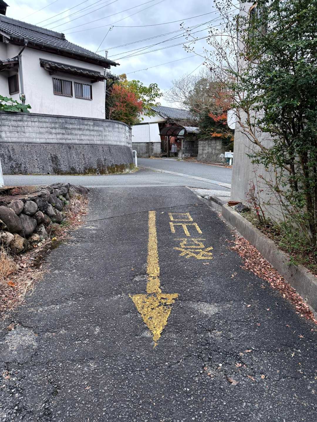 民家の間に出てきたよ
よき山歩でした