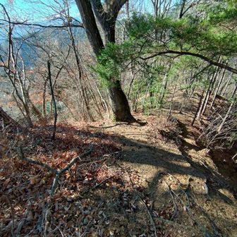 始めは比較的歩き易い尾根道。