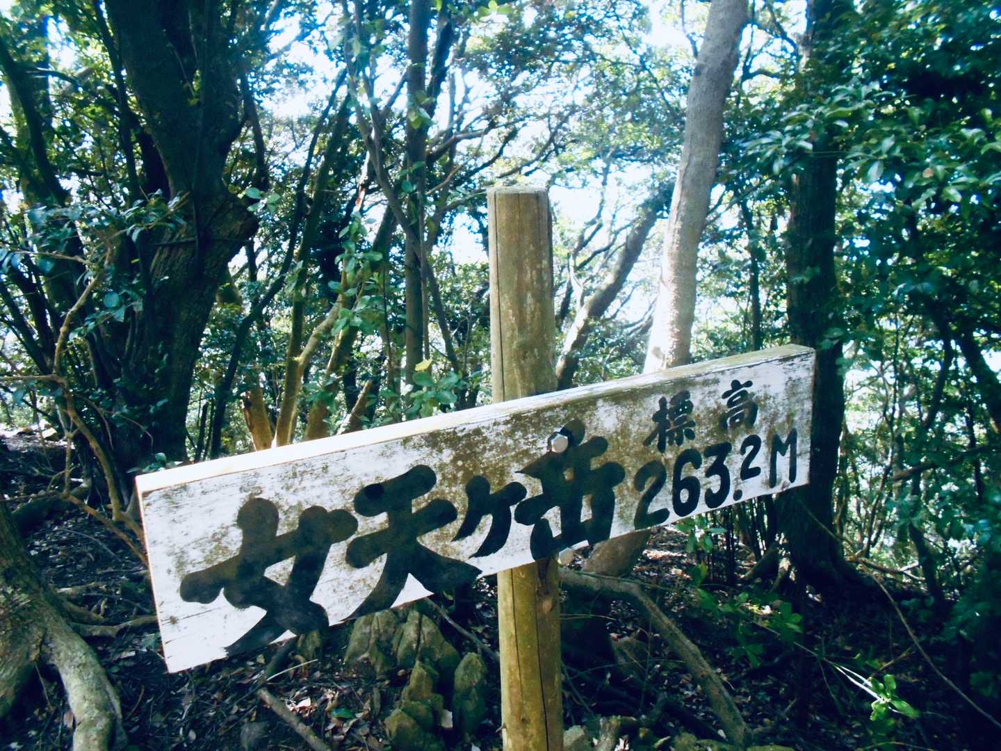 ズルズル坂登って到着ー！
