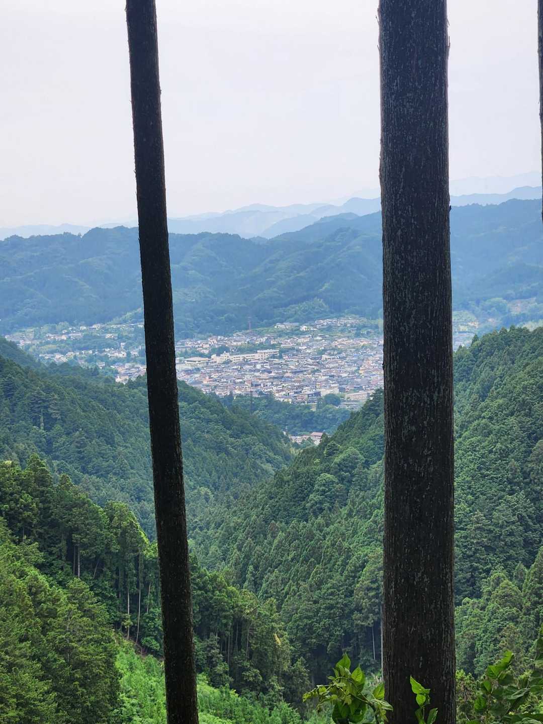 【フラット登山】「国破れて山河あり」の青梅丘陵　丘陵をたどる面白さ
の写真