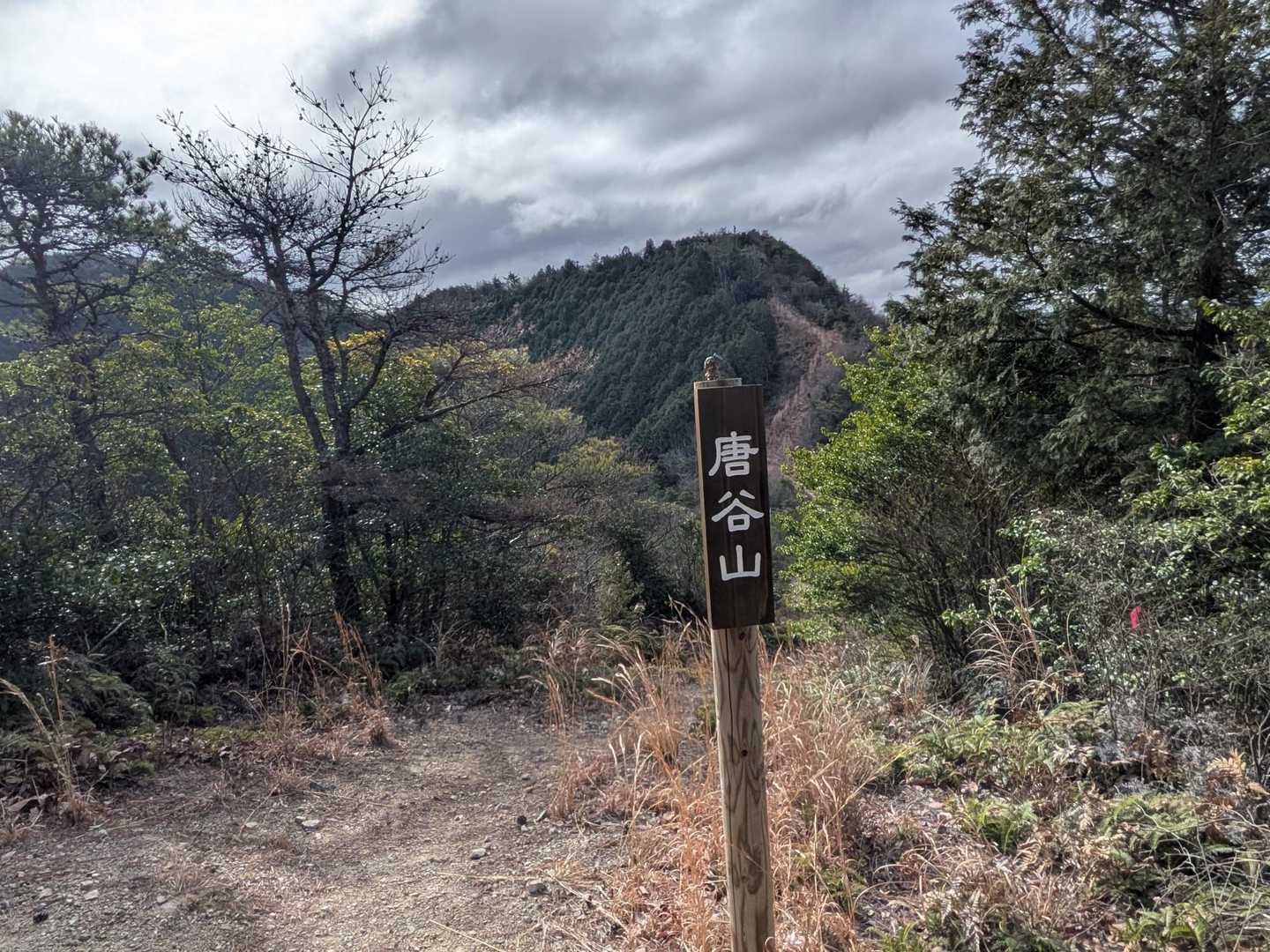 ひとつ目のピーク