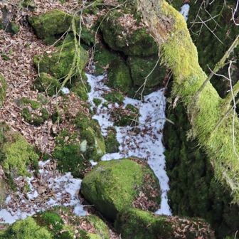 西の風穴の残雪がちょこッと
