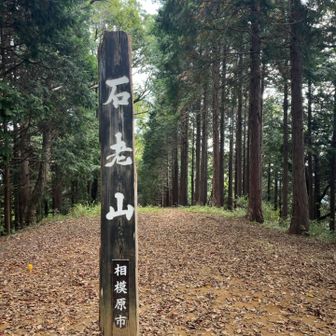 石老山に登頂🙌
良く見かけるアングルで📷
丹沢や富士山が見えるみたいだけど、霞んで見えず…。

石老山より、この先にある高塚山の山頂直下や、その手前の名もなきピークの方が割と急だったかも。
ちなみにそっちは眺望なし。