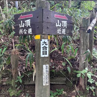 「キツくて辛い道に行きたいんですけど、どっちですかー🗣️」と国語力を試されてるようで30秒フリーズ。
考えた末に消去法で➡️を選択しました！