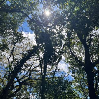 太陽☀️