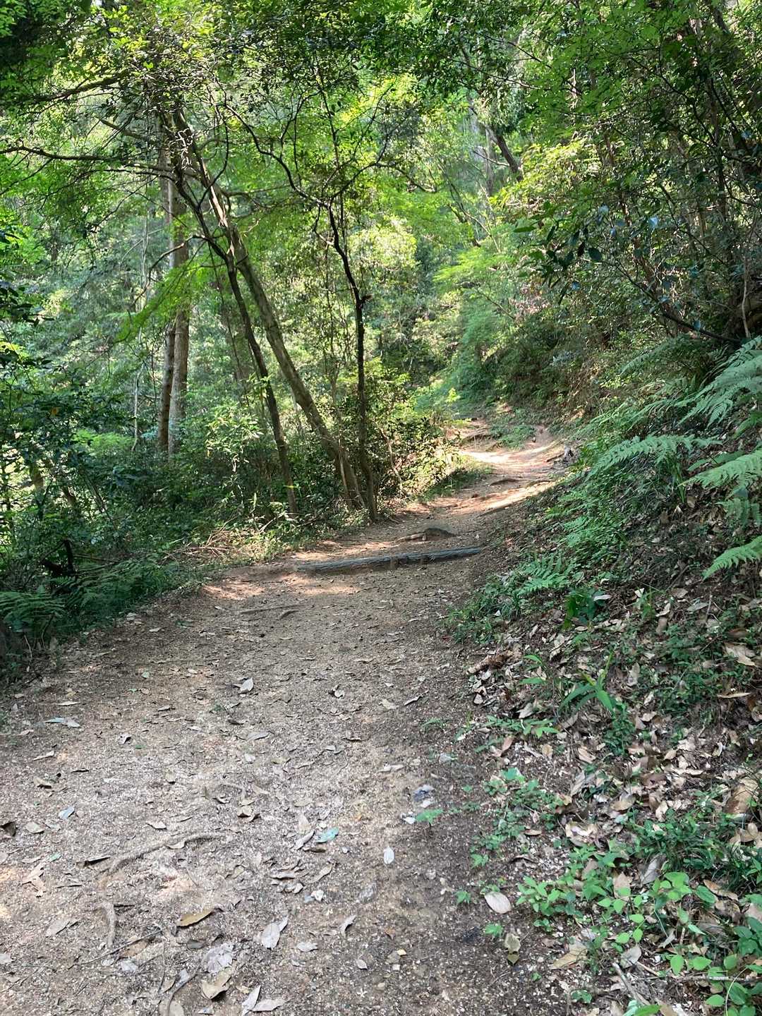 さぁ、登城開始！