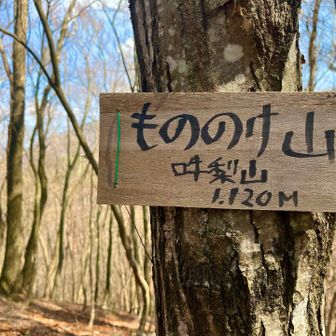 米良米良米良♪
あの歌が頭を駆け巡る
この先2ピーク取りに行こうか考えたけど
面倒になり帯那山へ向かう
この先は急斜面とちらほら岩が出てくる