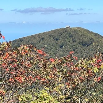 浄法寺山山頂から見た、南丈競山の避難小屋！🫡