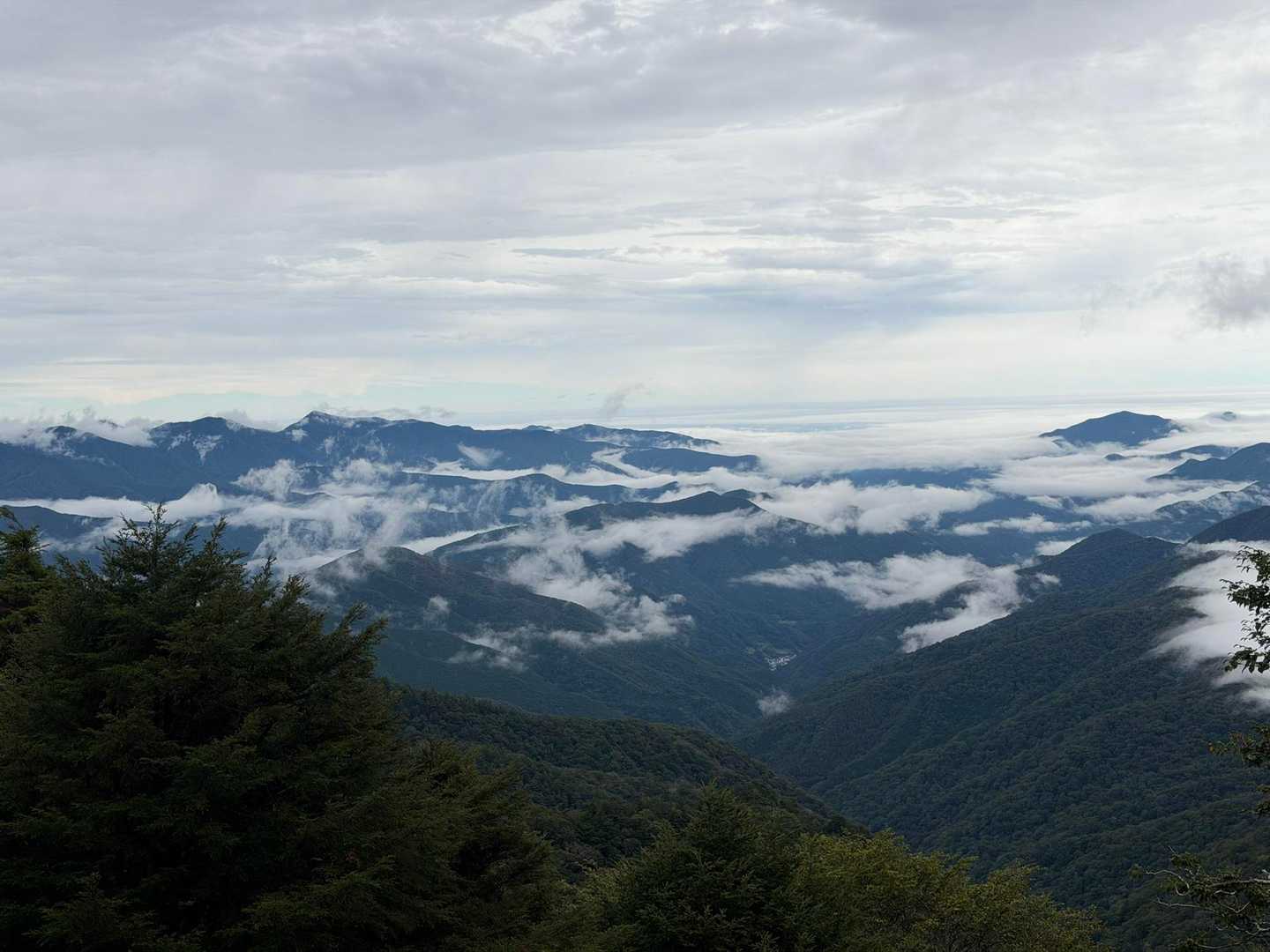 丸川峠分岐駐車場-丸川峠-大菩薩嶺-大菩薩峠 周回コースの写真