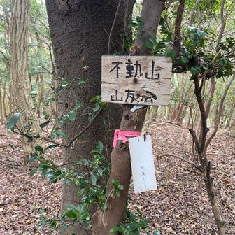 和歌山県和歌山市と大阪府岬町の境界付近に位置する「紀泉（きせん）アルプス」の一部を構成する山々です。