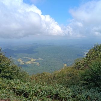鯛ノ巣山山頂まで戻ると少し青空も覗いてくれた。