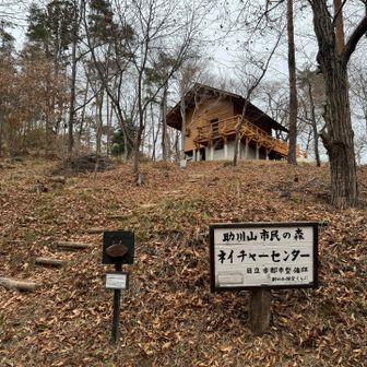 ネイチャーセンター…人がいると「在」の札がかかってる