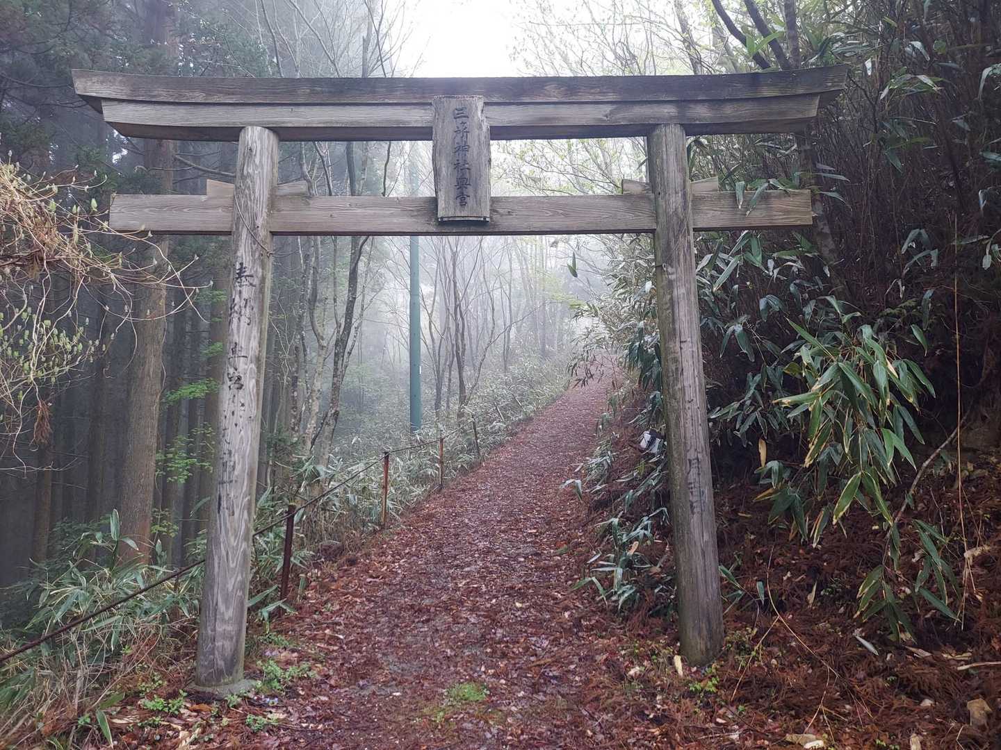 杉が越-二上山 往復コースの写真