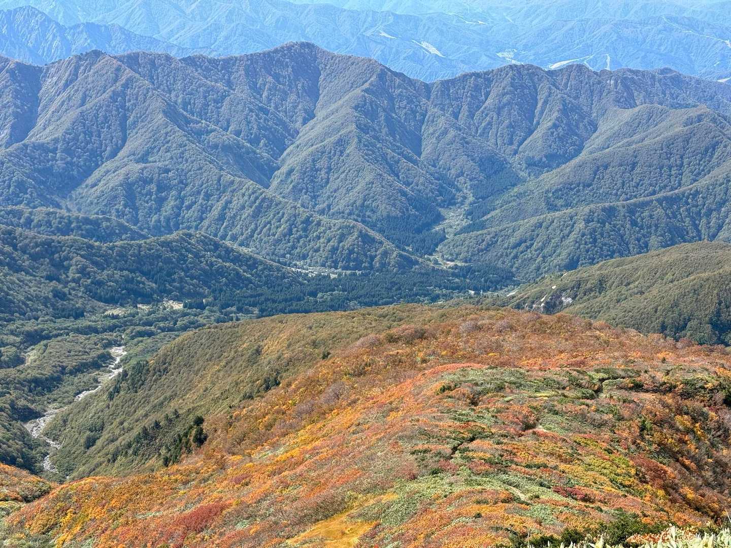 井戸尾根コース | 「ニセ巻機山」を越え、池塘と草原広がる織姫伝説の山頂への写真