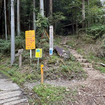 右から下山してきたけど、左の舗装路からも下山できます